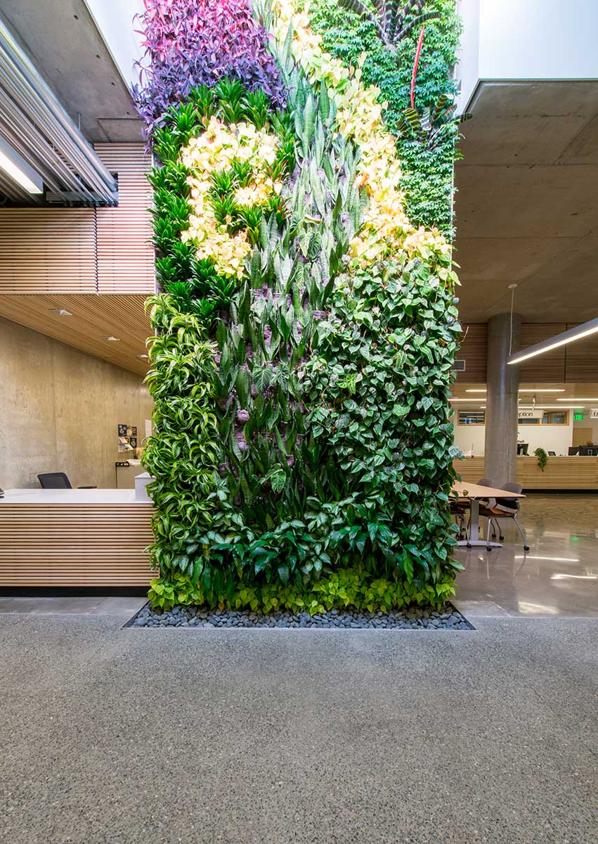 plant wall inside bothell city hall