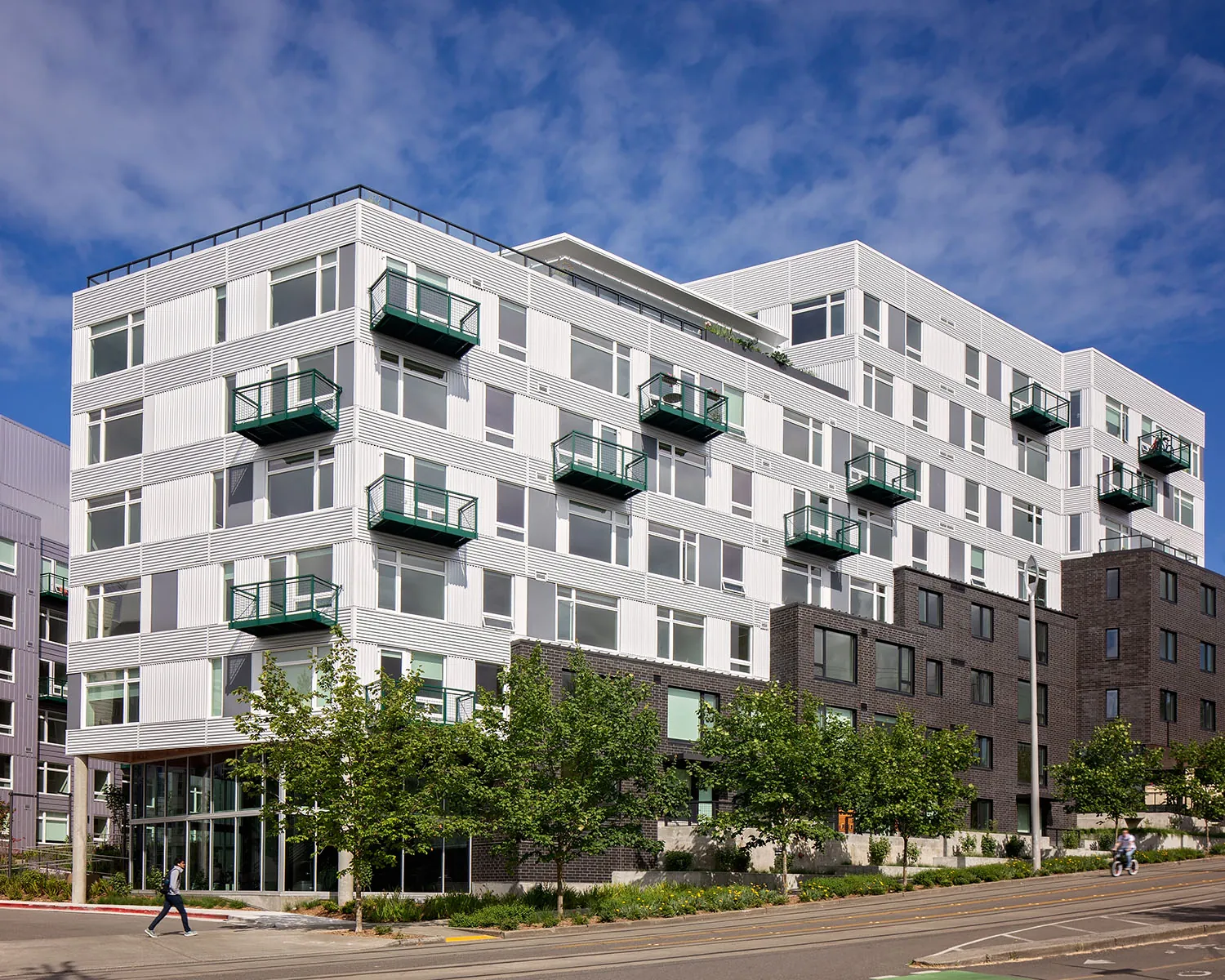 Cascara exterior