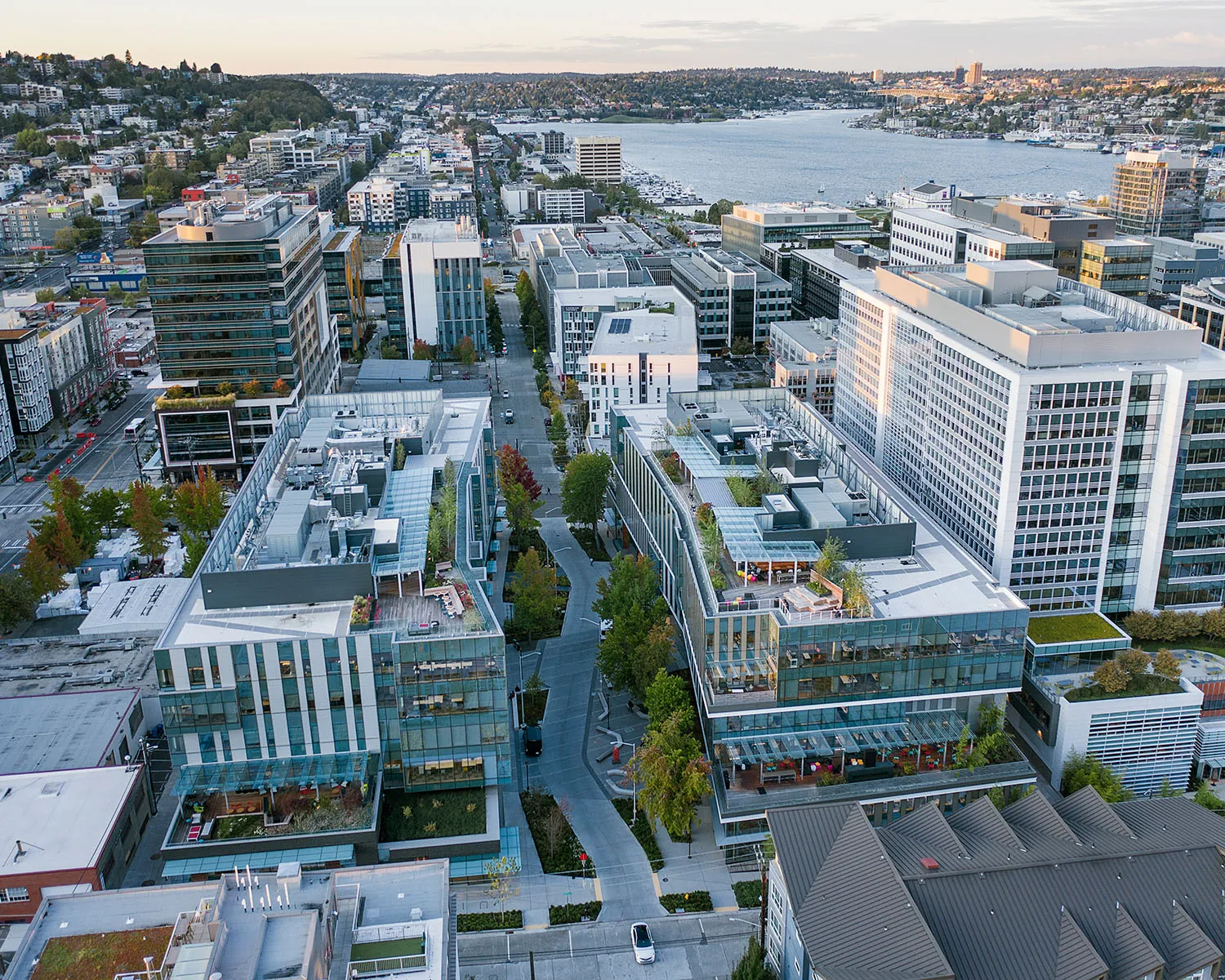 aerial view of arbor blocks and lake union