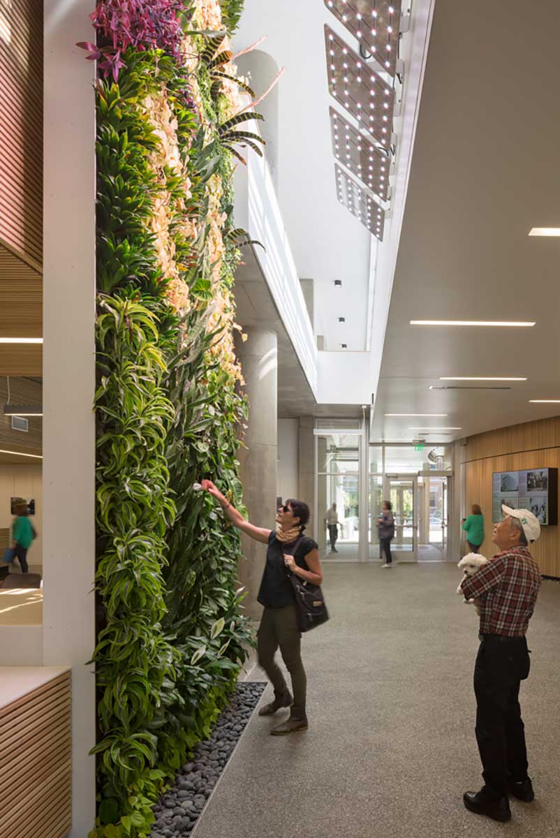 plant wall inside bothell city hall